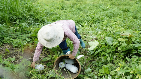 Chương trình phát thanh quam Tay thứ 6 mự 24 căm bườn 9 pì 2021