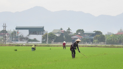 Chương trình phát thanh quam Tay thứ 5 mự 25 căm bườn 02 pì 2021