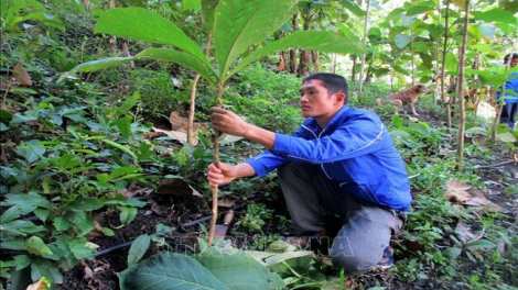 Chương trình phát thanh quam Tay thứ 2 mự 12 căm bườn 7 pì 2021