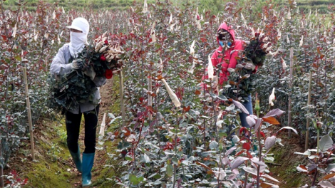 Ngon tô thứ 3 mự 18 căm bườn 5 pì 2021 – Ven xanh Lo Văn Xiên chang dệt kinh tế té púk bók