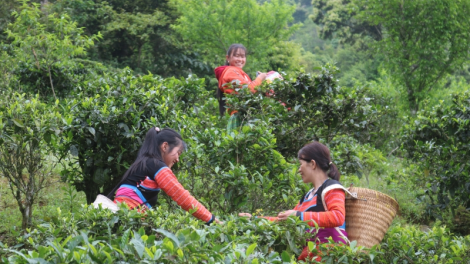 Chương trình phát thanh quam Tay thứ 6 mự  căm nưng bườn 4 pì 2022