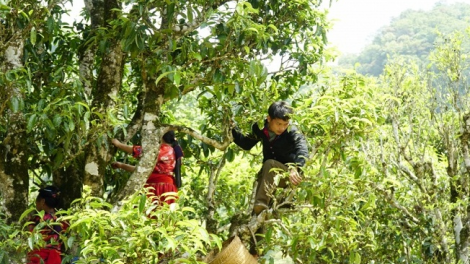 Chương trình phát thanh quam Tay thứ 6 mự 6 căm bườn 5 pì 2022