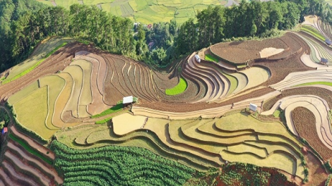 Ngon tô thứ 2 mự 25 căm  bườn 7 pì 2022 – Tiện tô cắp Pả Tong Thị Mai