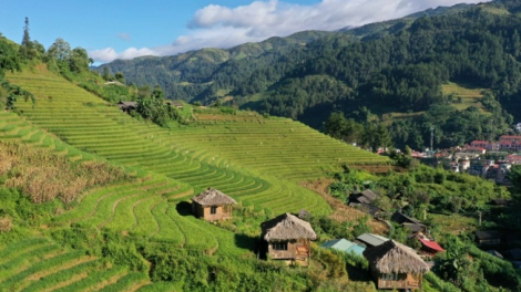 Quam kháo phổng Tày Bắc thứ 6 mự  căm  nưng bườn 4 pì 2022