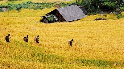 Những hướng phát triển du lịch ở Tây Bắc