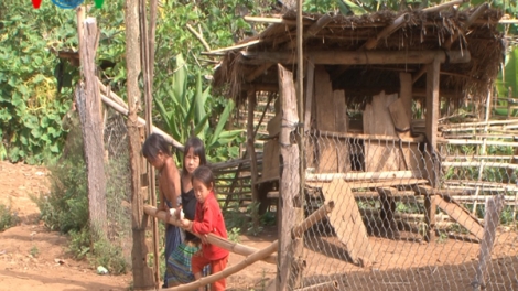 Cơn bão ma túy quét qua bản làng