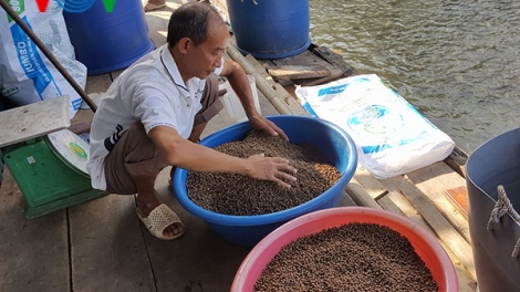 Nông thôn mới ở Yên Nguyên
