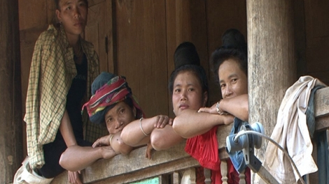 Ngô rớt giá nên dân nghèo thành con nợ