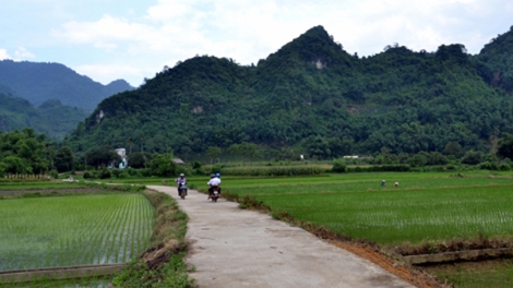 Xây dựng nông thôn mới ở Yên Nguyên