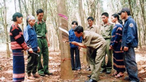 Làm công nhân của Binh đoàn để ấm no