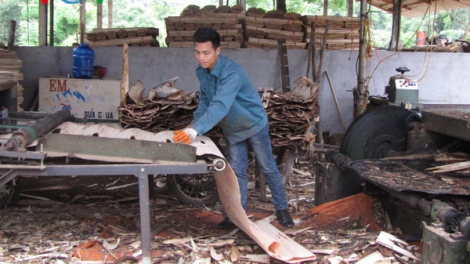 Mang nợ khi cho con đi học