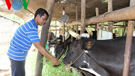 Hội thi sáng kiến giảm nghèo bền vững