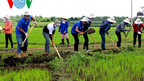 "Mùa hè xanh" về với buôn làng