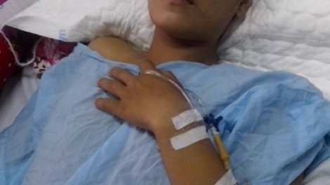 Tính mạng Bàn Mùi Diện đang bị đe dọa