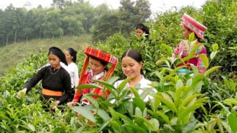 Qũy hỗ trợ nông dân giúp dân nghèo Hà Giang