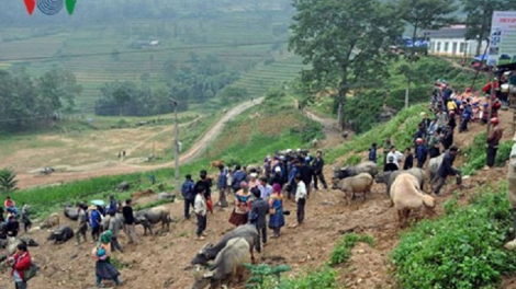 Những điểm mới trong Chương trình 135 giai đoạn 2016-2020