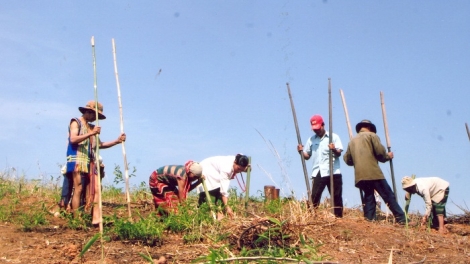 Lễ trỉa hạt của người Brâu