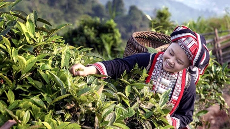 Khởi nghiệp ở vùng đồng bào dân tộc thiểu số cần quan tâm tới điều gì?