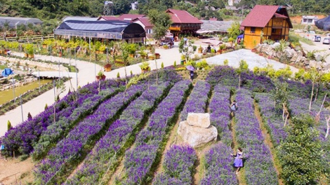 Khởi nghiệp ở vùng dân tộc thiểu số Bắc Hà