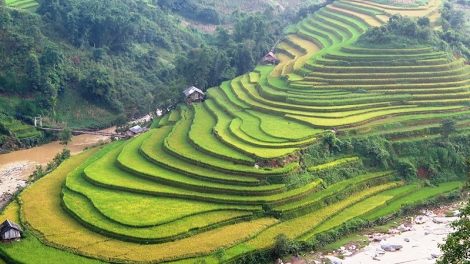 Sẵn sàng cho Tuần Văn hoá -  Du lịch Ruộng bậc thang Mù Cang Chải