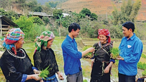 Tinh thần xung phong, xung kích của Đoàn viên - thanh niên