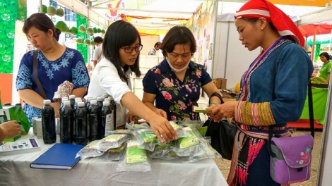 Hỗ trợ đồng bào dân tộc thiểu số khởi nghiệp