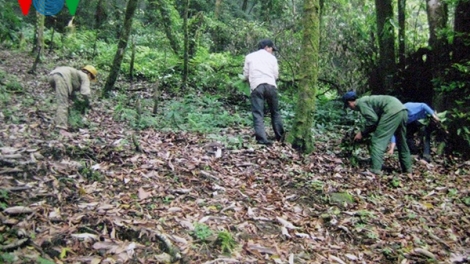 Đảm bảo sinh kế của người dân gắn bó với rừng