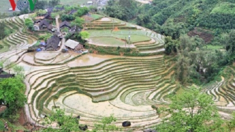 Lào Cai sẽ xử lý việc xâm phạm di tích Ruộng bậc thang Sa Pa