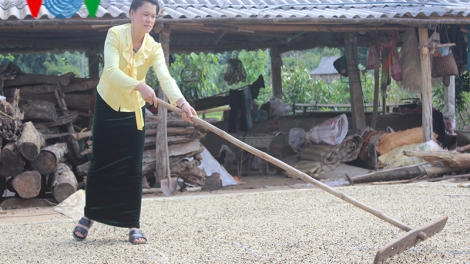 Lò Thị Viện mơ làm giàu từ những mảnh núi bạc màu