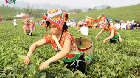 Chương trình 135 phát huy hiệu quả khi được lồng ghép thực hiện