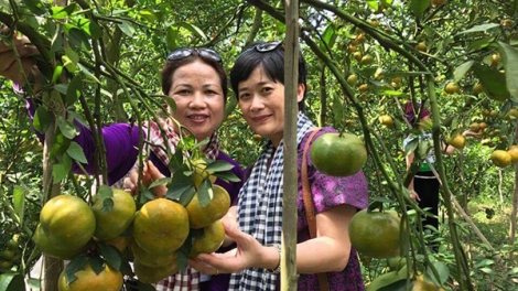 Doanh nghiệp xã hội giúp người dân thoát nghèo
