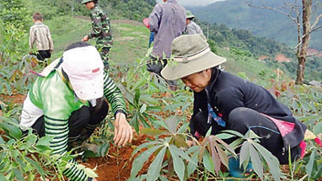 Nông dân Mường Chanh vay vốn làm giàu