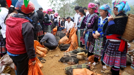 Ngựa ơi xuống núi thồ hàng cùng ta - DC Nùng