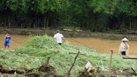 Thủy điện Nậm Na 2 xả lũ,  cuốn trôi hơn 100ha lúa và hoa màu