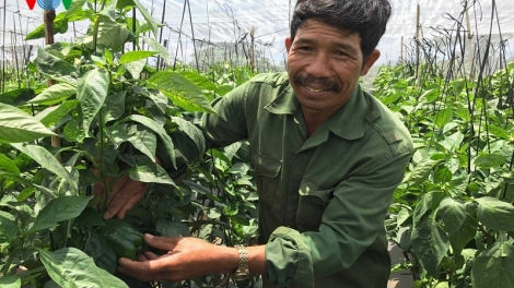 Nỗ lực ứng dụng công nghệ cao vào sản xuất nông nghiệp