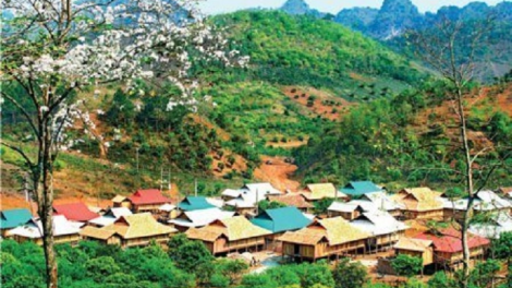 Đồi nương mang lại ấm no cho dân tái định cư Quỳnh Thuận