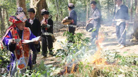 Người Dao giữ rừng