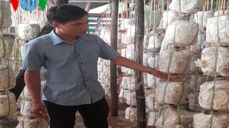 Thạc sỹ trẻ bỏ phố về bản làm giàu từ trồng nấm