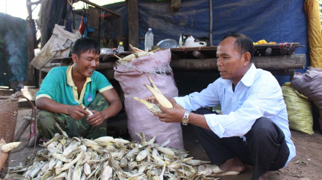 Người uy tín của thôn Trà Co