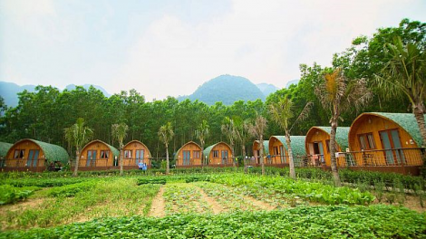 Khởi nghiệp từ Farmstay của cô gái trẻ người Cờ Lao