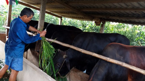 Lồng ghép nguồn lực hiệu quả để phát triển kinh tế