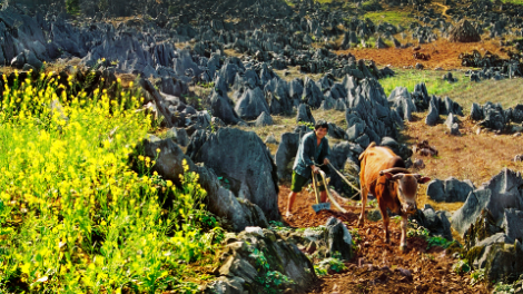 Hà Giang phát triển du lịch dựa trên lợi thế cảnh quan và đa dạng văn hóa