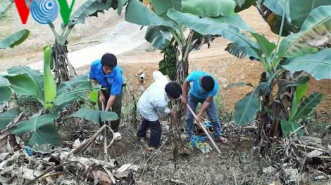 Thanh niên xung kích lập nghiệp nơi biên giới