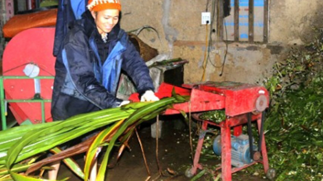 Hà Giang thành lập các đoàn công tác kiểm tra phòng, chống rét cho gia súc