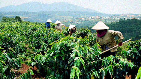 Những cái khó khi ứng dụng công nghệ cao vào sản xuất nông nghiệp