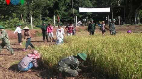 Bộ đội biên phòng góp sức thay đổi làng quê vùng biên