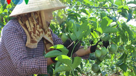 Chỉ rõ nguyên nhân, Mộc Châu chiến thắng đói nghèo