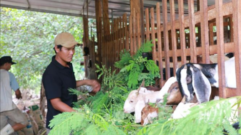 Lập nghiệp từ lợi thế của địa phương