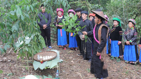 "Ngôi nhà chung" mừng ngày di sản văn hóa Việt Nam