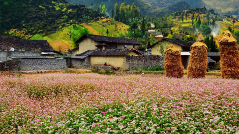 Vẻ đẹp cao nguyên đá Đồng Văn